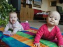 Klik for fuld størrelse